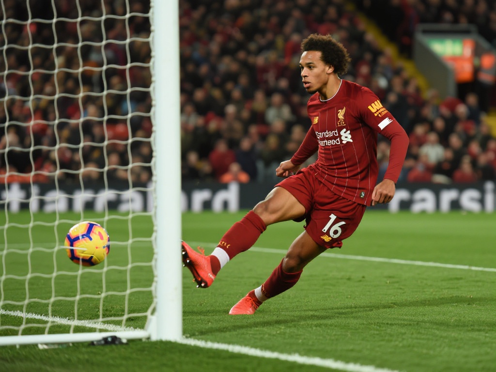 美洲的阿根 美洲的阿根